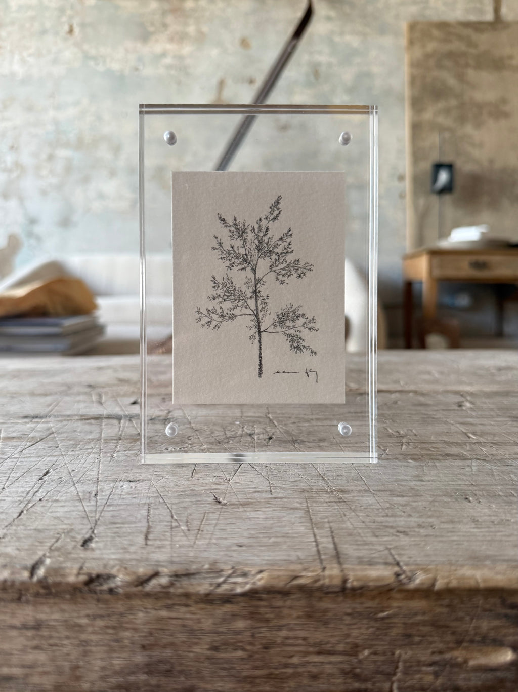 Tree Study in Acrylic Frame, 4” x 6”