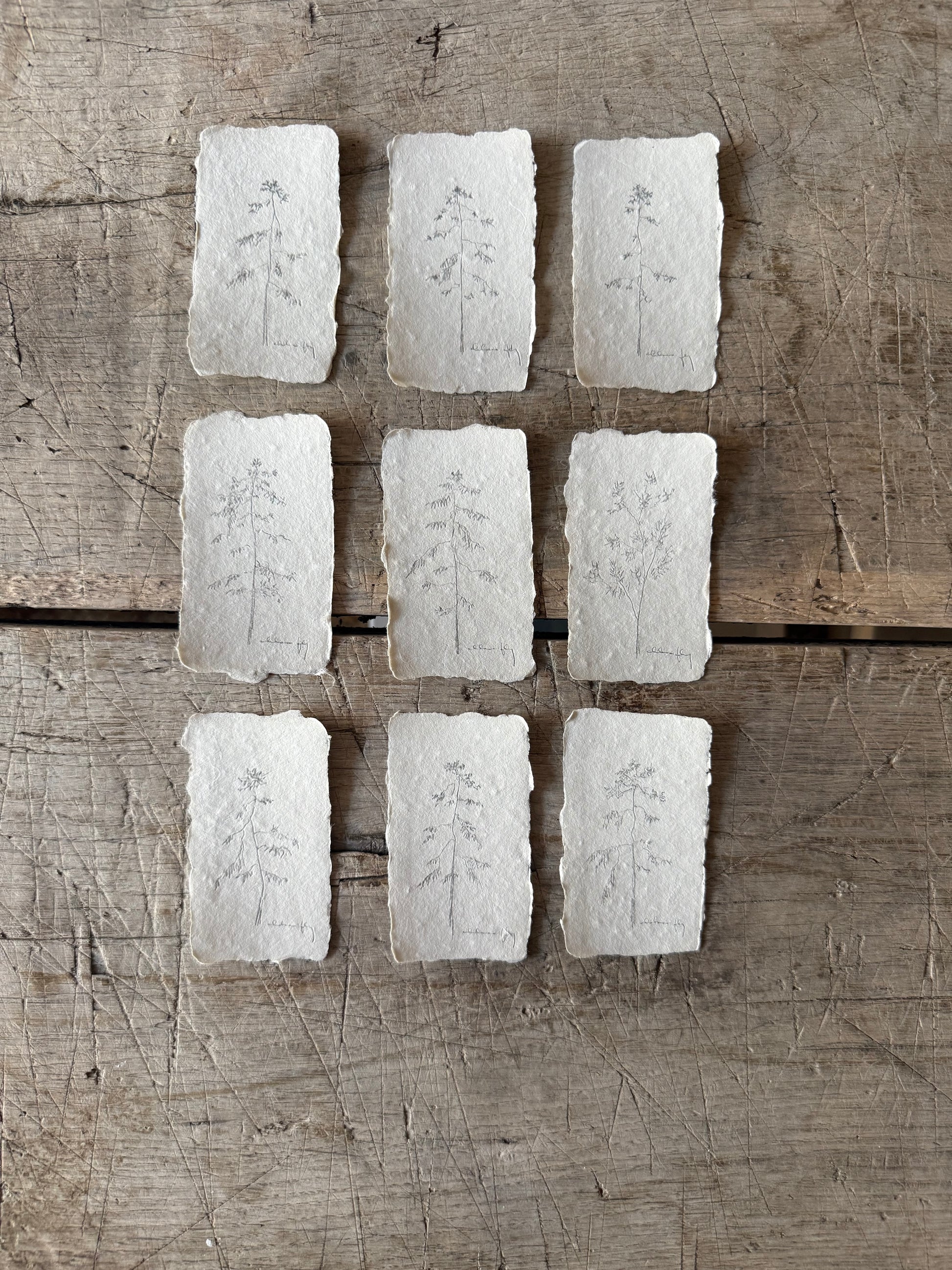 Set of 9: Tree Studies on Handmade Paper