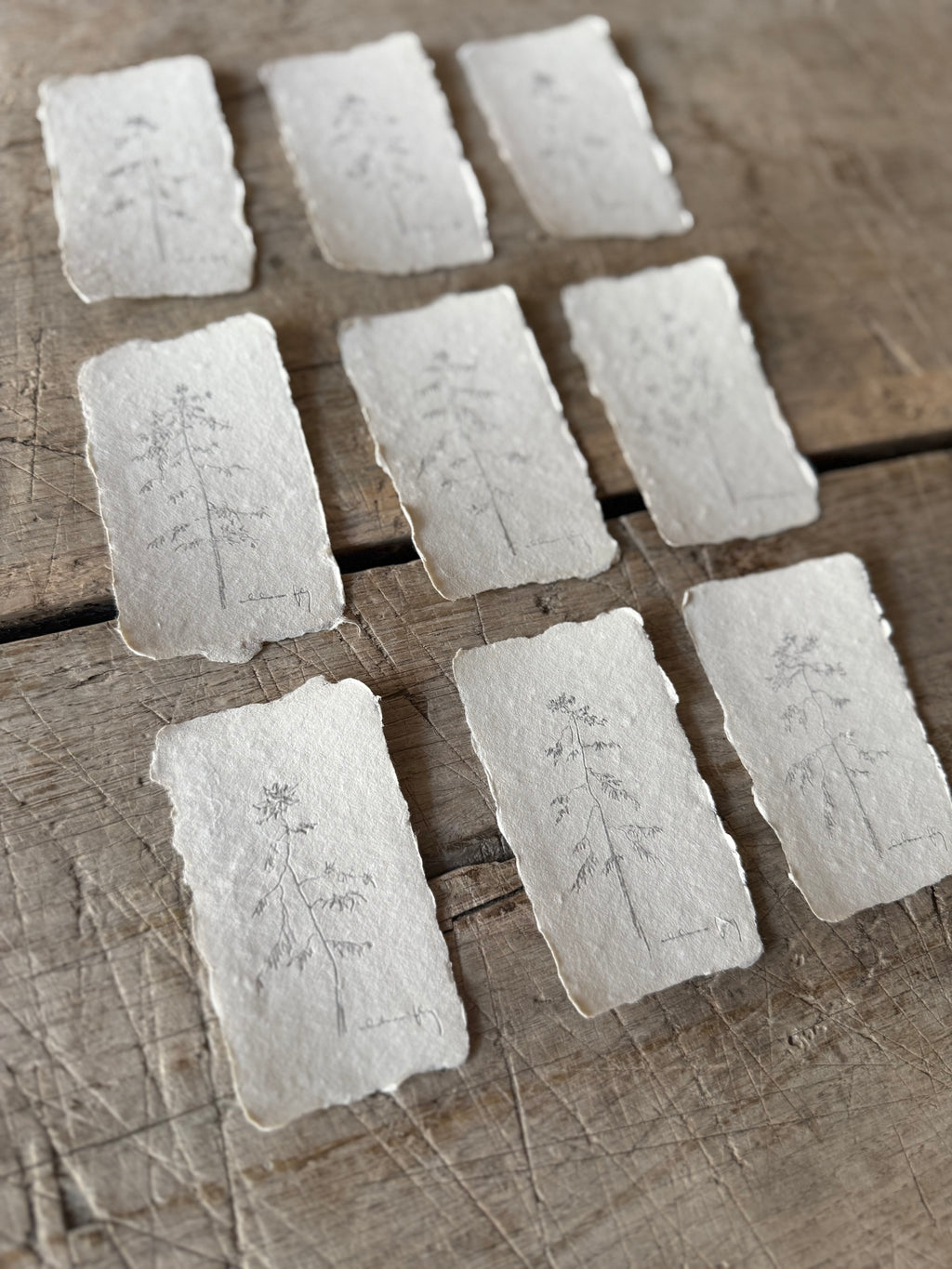 Set of 9: Tree Studies on Handmade Paper