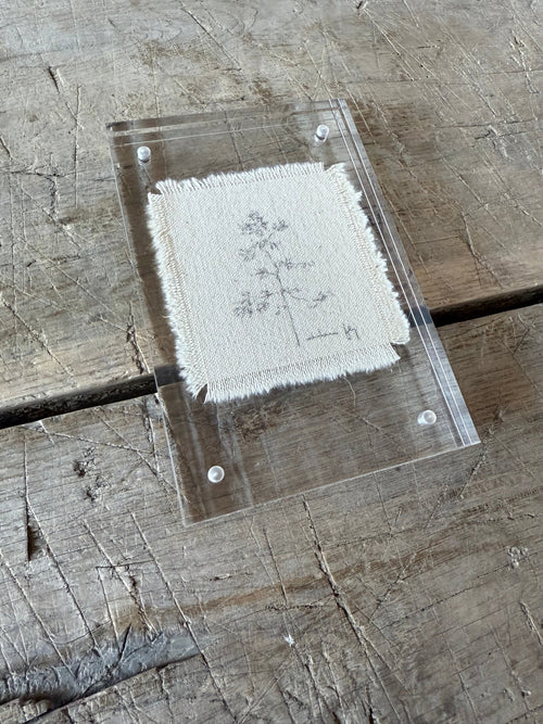 Framed Tree Study on Raw Canvas